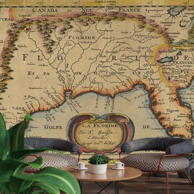 Ταπετσαρία τοίχου  Vintage map 4