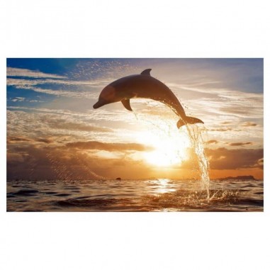 Υφασμάτινη ταπετσαρία με δελφίνι
