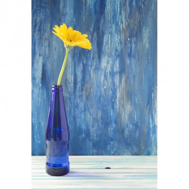 Πίνακας σε καμβά Yellow flower blue background