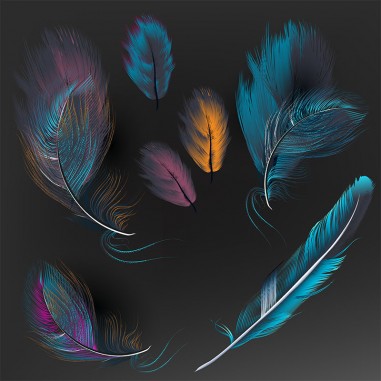 Πίνακας σε καμβά Feather