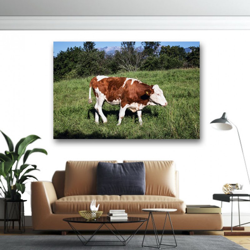 Πίνακας σε καμβά Αγελάδα στο λιβάδι