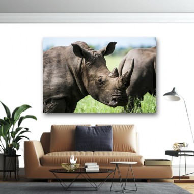 Πίνακας σε καμβά Ρινόκεροι