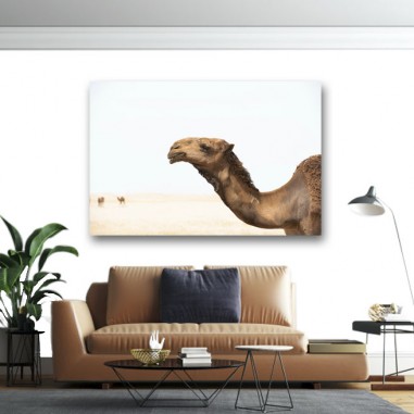 Πίνακας σε καμβά Καμήλα 2