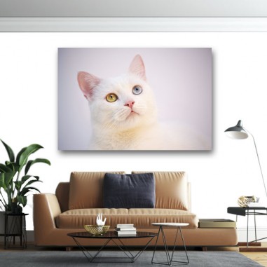 Πίνακας σε καμβά Λευκή γάτα
