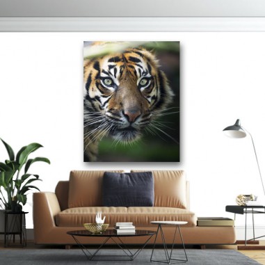 Πίνακας σε καμβά Τίγρης σε κοντινό