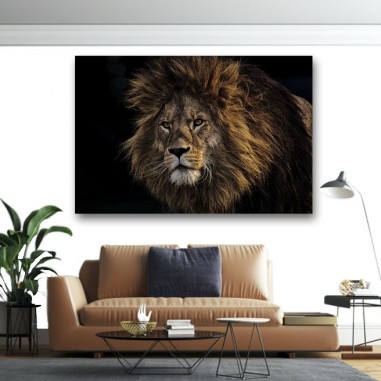 Πίνακας σε καμβά Αρσενικό λιοντάρι