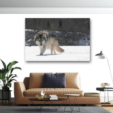 Πίνακας σε καμβά Λύκος στο χιόνι