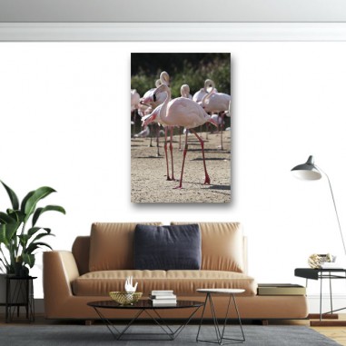 Πίνακας σε καμβά Flamingos