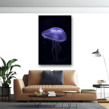 Πίνακας σε καμβά Jelly fish 2