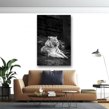 Πίνακας σε καμβά Ασπρόμαυρη Τίγρης