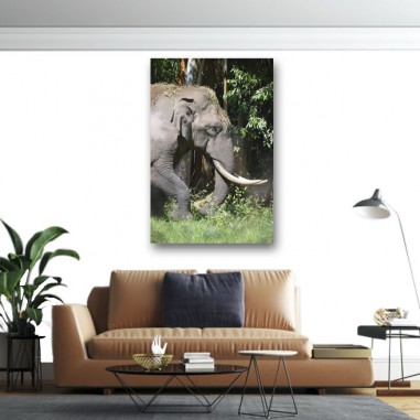 Πίνακας σε καμβά Ελέφαντας