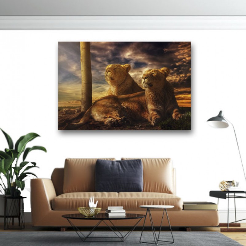 Πίνακας σε καμβα Δυο θηλυκά λιοντάρια