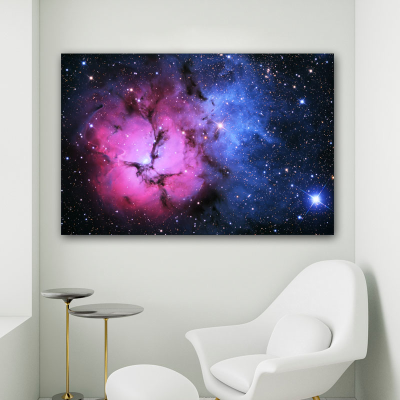 Πίνακας σε καμβά Ροζ Γαλαξίας