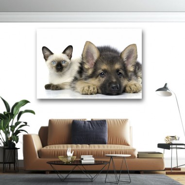 Πίνακας σε καμβά Σκύλος με γάτα
