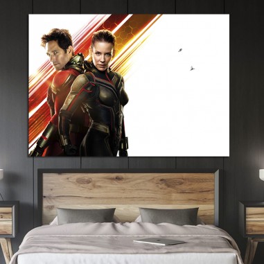 Πίνακας με Ant-Man and the wasp movie 2