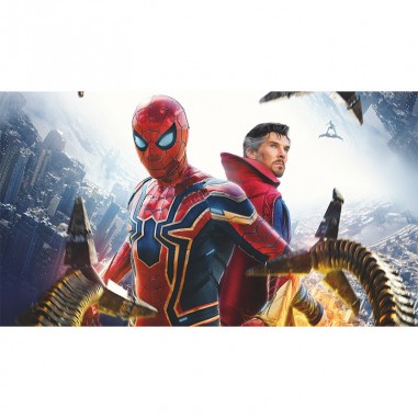 Πίνακας με Spider-man No Way Home 2021