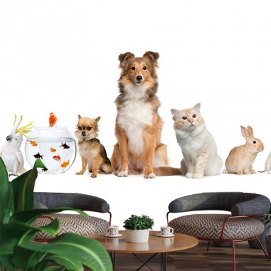 Animal Family