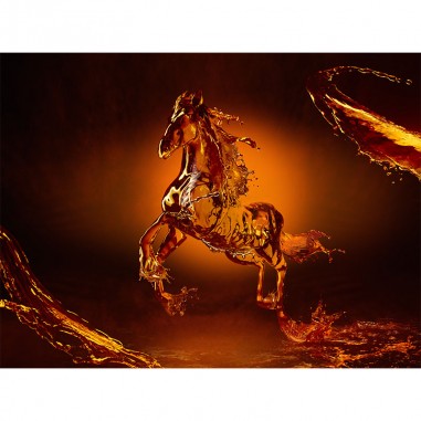 Πίνακας με Artistic Horse