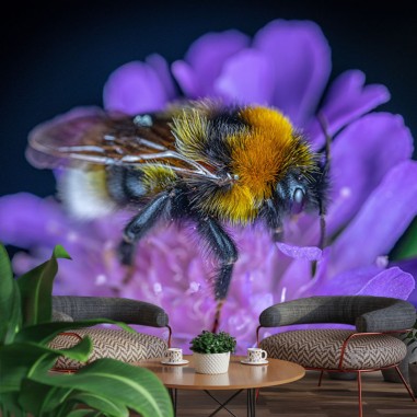 Bumblebee 