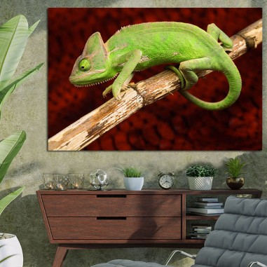 Πίνακας με Chameleon