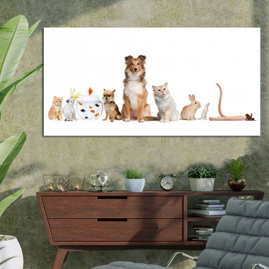 Πίνακας με Animal Family