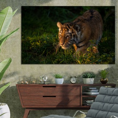 Πίνακας με Big Cat