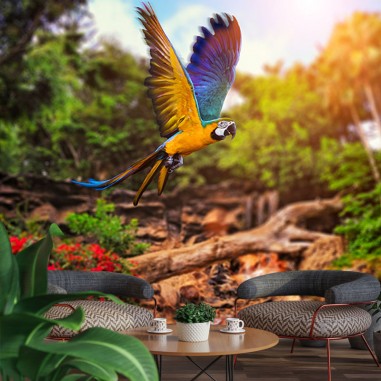 Parrot