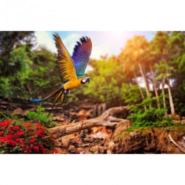 Πίνακας με Parrot