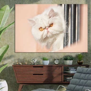 Πίνακας με Persian Cat