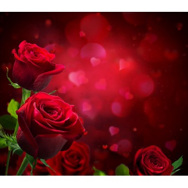 Ταπετσαρία τοίχου Roses of love