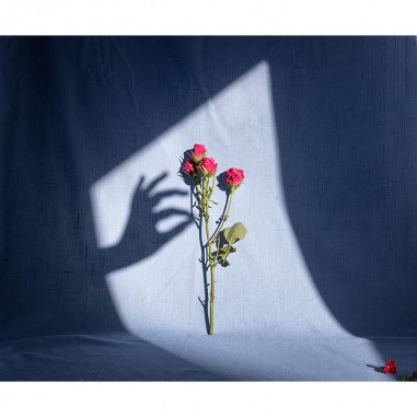 Ταπετσαρία τοίχου Flower shadow