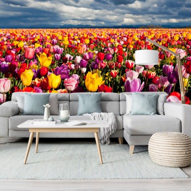 Ταπετσαρία τοίχου Field with tulips