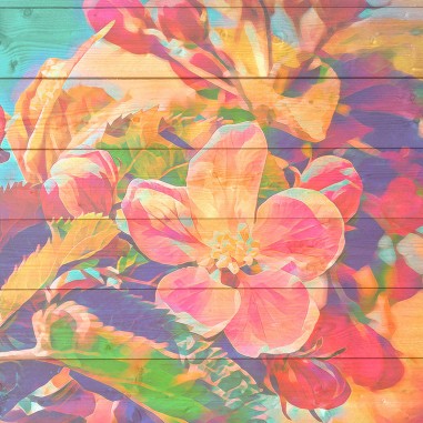 Ταπετσαρία τοίχου Wood with flowers