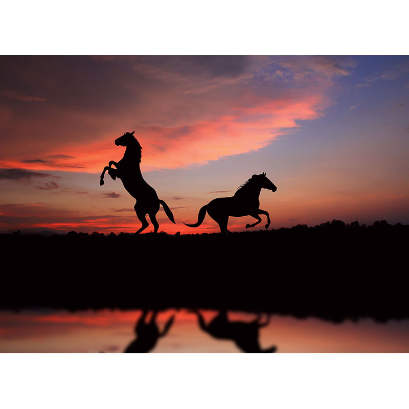 Πίνακας με Άλογα στο Ηλιοβασίλεμα