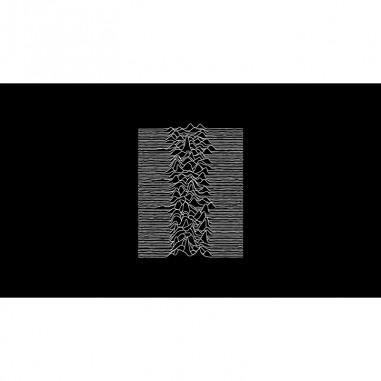 Πίνακας σε καμβά Joy Division Unknown Pleasures