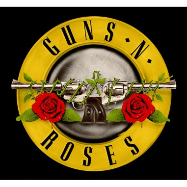 Πίνακας σε καμβά Guns n Roses