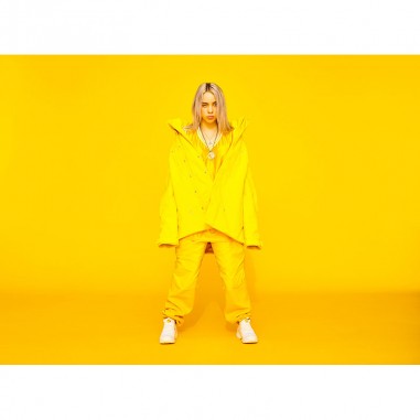 Πίνακας σε καμβά Billie Eilish 7