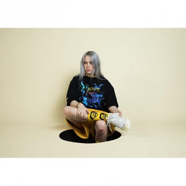 Πίνακας σε καμβά Billie Eilish 8 