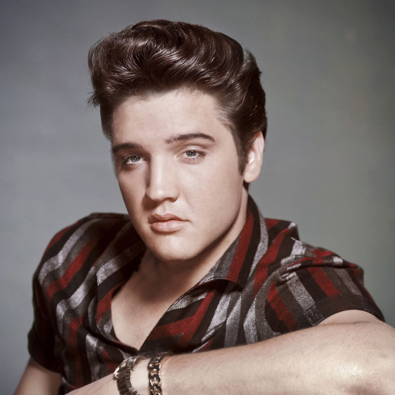 Πίνακας σε καμβά Elvis Presley 