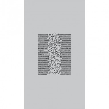 Πίνακας σε καμβά Joy Division Unknown Pleasures Grey