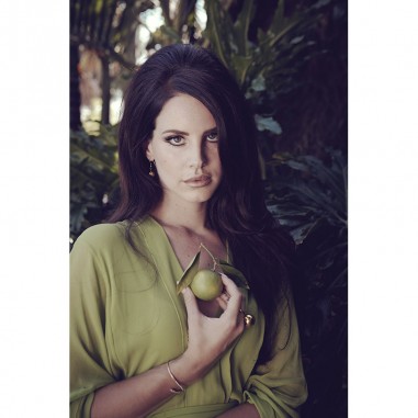 Πίνακας σε καμβά Lana del Rey 5