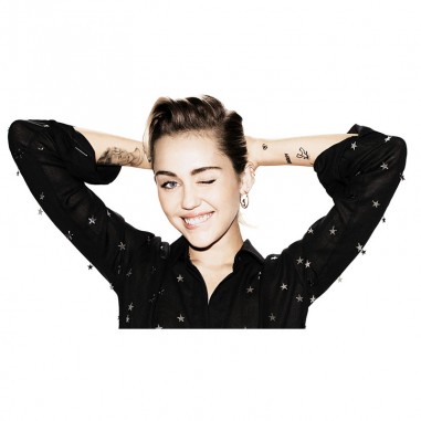 Πίνακας σε καμβά Miley Cyrus 