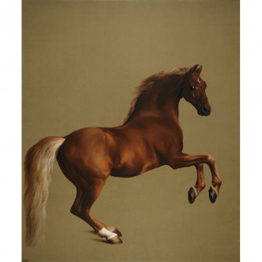 Πίνακας του George Stubbs-Whistlejacket