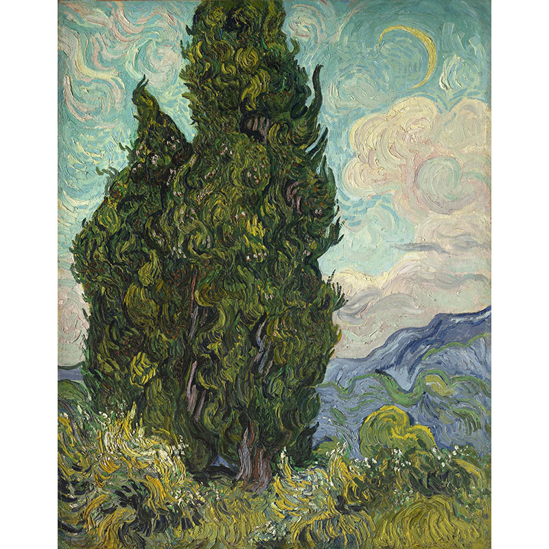 Πίνακας του Vincent van Gogh-Cypress