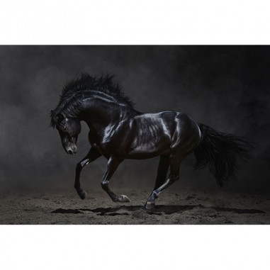 Ταπετσαρία Μαύρο Άλογο