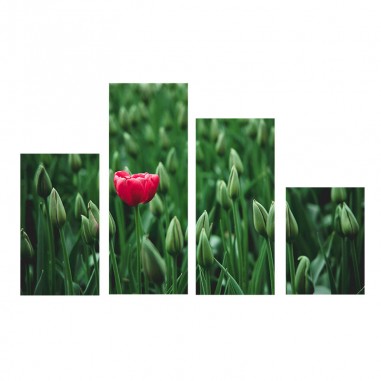 Τετράπτυχος πίνακας Κόκκινη λουλούδι 
