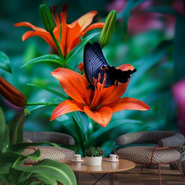 Ταπετσαρία με Lily Orange Flower  