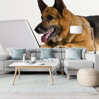 Ταπετσαρία Σκύλος με Laptop 2