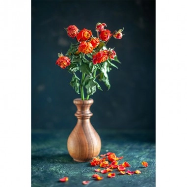 Πίνακας σε καμβά Red flower falling apart