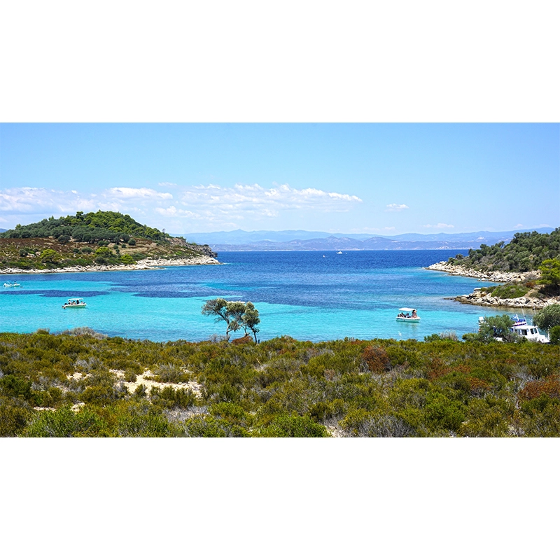 Πίνακας σε καμβά Σιθωνία Χαλκιδικής  Πίνακας σε καμβά Σιθωνία Χαλκιδικής